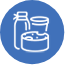 Iconos Pag