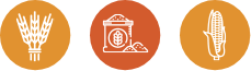 Iconos Pag