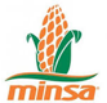 Logo Minsa